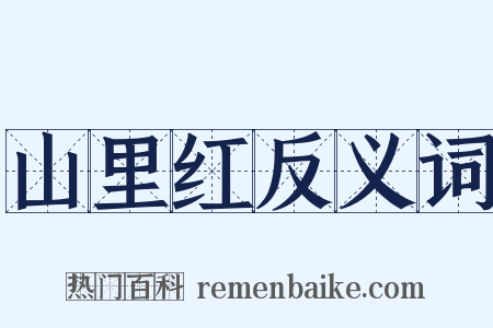 山里红反义词是什么意思的图片